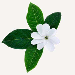 Fragrance Ingredients Image 4