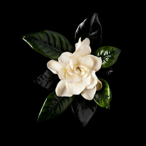 Fragrance Ingredients Image 5