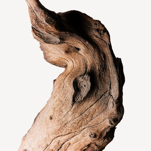 Fragrance Ingredients Image 2