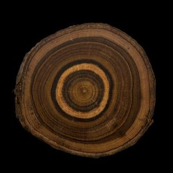 Fragrance Ingredients Image 1
