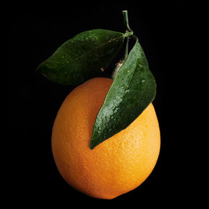 Fragrance Ingredients Image 4