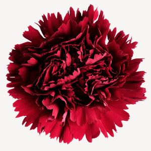 Fragrance Ingredients Image 5