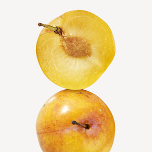 Fragrance Ingredients Image 3