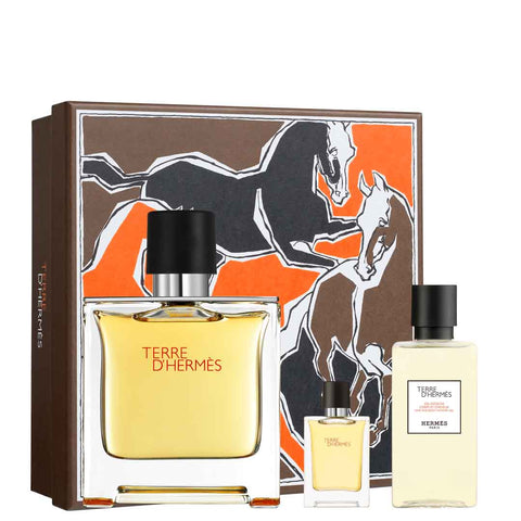 Hermes Terre D Hermes Eau Intense Vetiver Giftset 120 ml - PerfumezDirect®