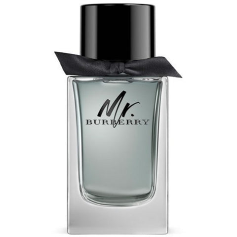 Burberry MR BURBERRY edt spray 100 ml - PerfumezDirect®
