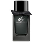 Burberry MR BURBERRY edp spray 100 ml - PerfumezDirect®