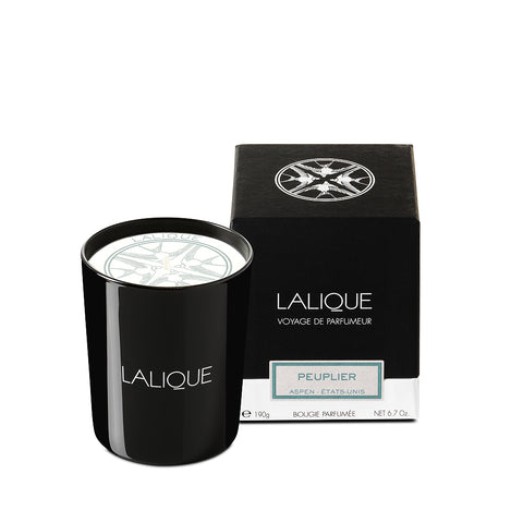 Lalique Candle 190g - Peuplier Aspen - PerfumezDirect®
