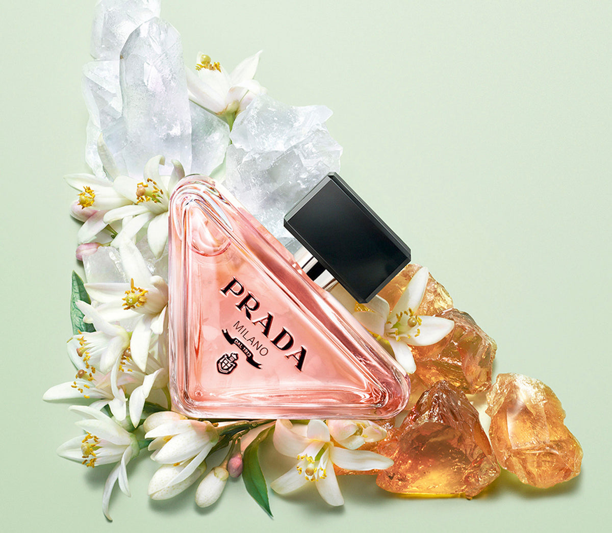 new prada at perfume direct london 