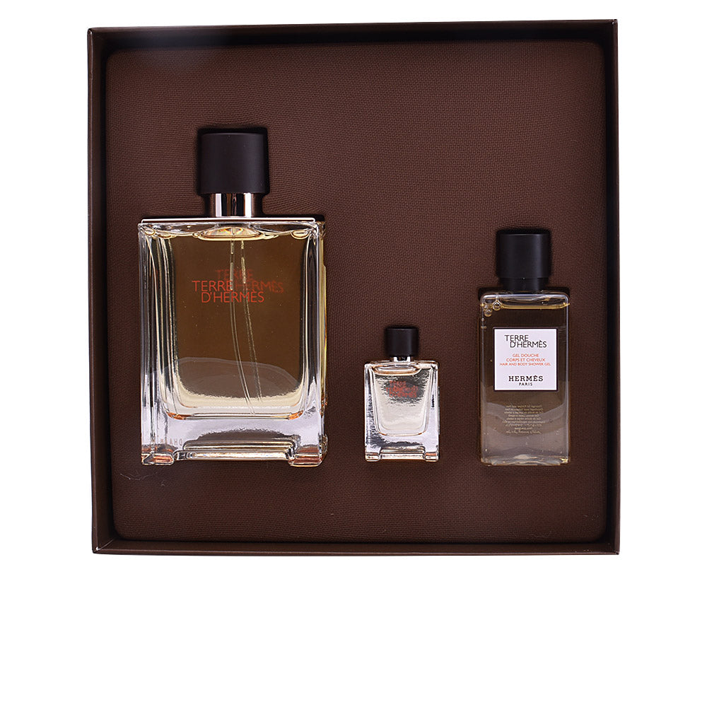 Hermes Terre D Hermes Eau De Toilette 100ml Case - PerfumezDirect®