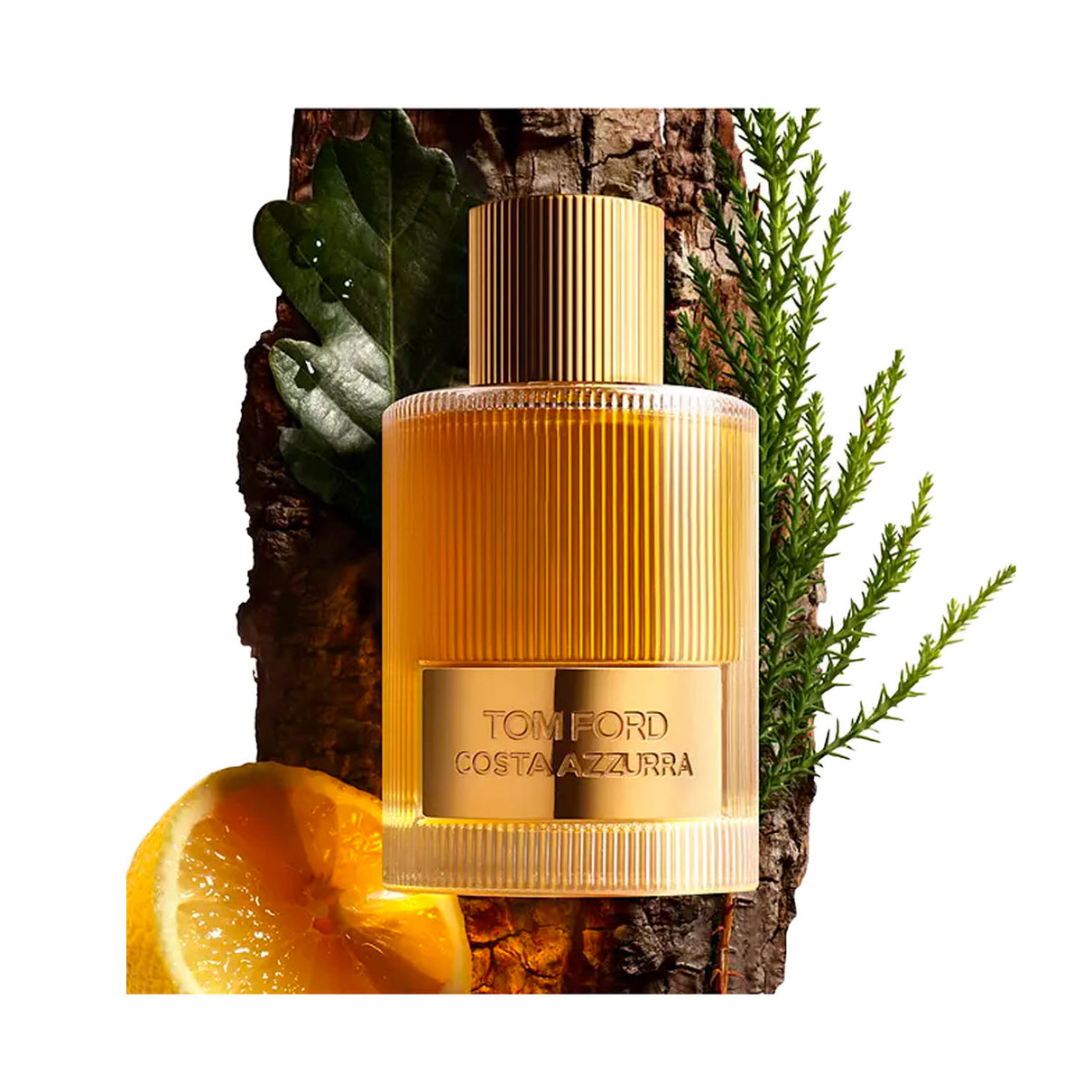 Tom Ford Costa Azzurra Parfum 50ml - PerfumezDirect®