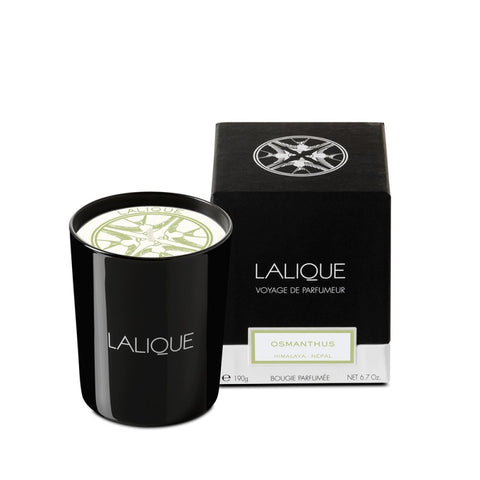 Lalique Candle 190g - Osmanthus Himalaya - PerfumezDirect®